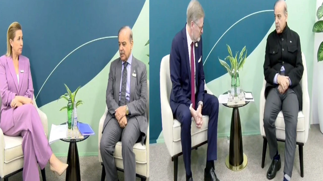 Shehbaz discuss economic, global issues with Danish, Czech Republic PMs 