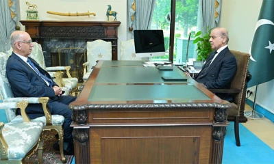 PM Shehbaz urges Senate to play active role in promoting national integration