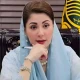 Punjab situation better than others, no compromise on merit: CM Maryam