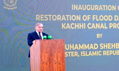 Nation to crush any attempt to harm Pak-Saudi ties, says PM Shehbaz