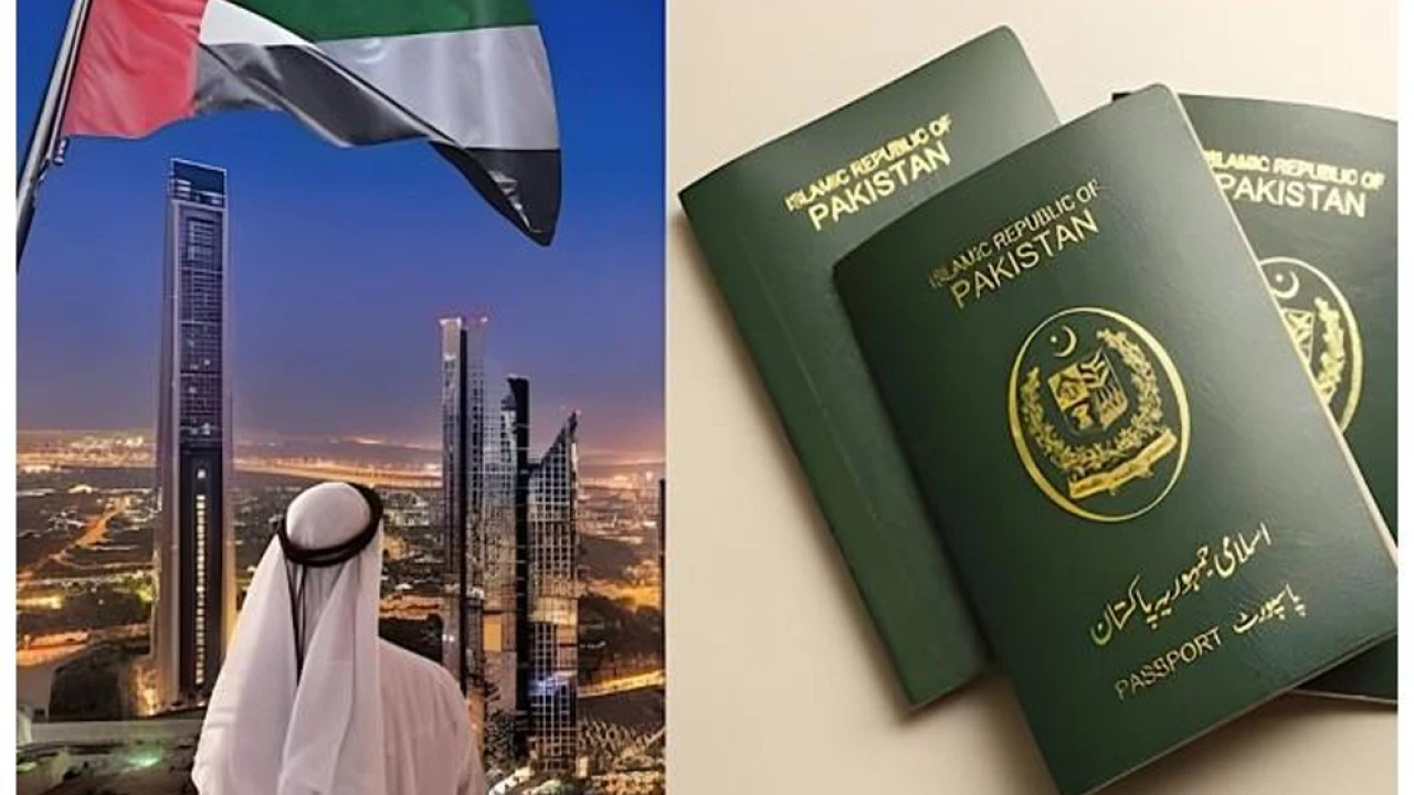 Non-issuance of UAE visa to Pakistanis is lie: Consul General 