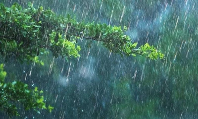 Thunderstorms, rain predicted in various cities