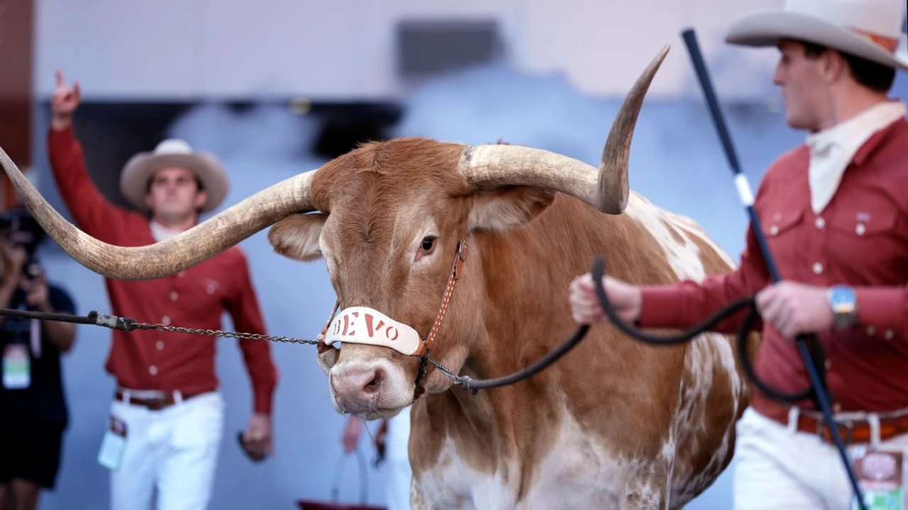 Big beef: No space for Bevo at SEC title game