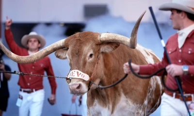 Big beef: No space for Bevo at SEC title game