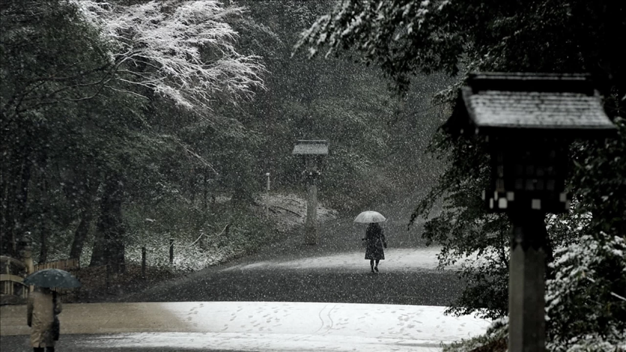 Over 200 hospitalized in Japan after major Tokyo snowfall  