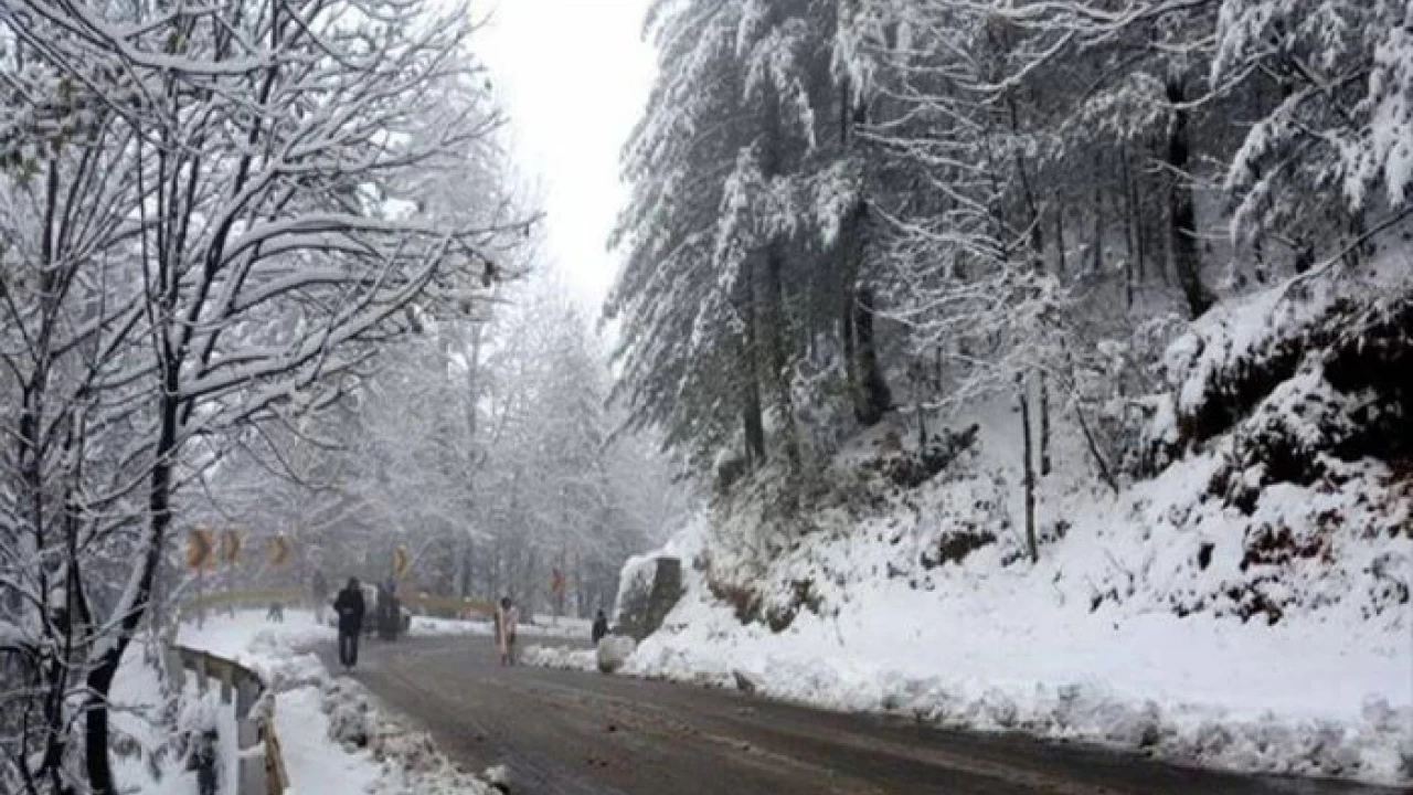 All major roads in Murree cleared for all types of traffic 