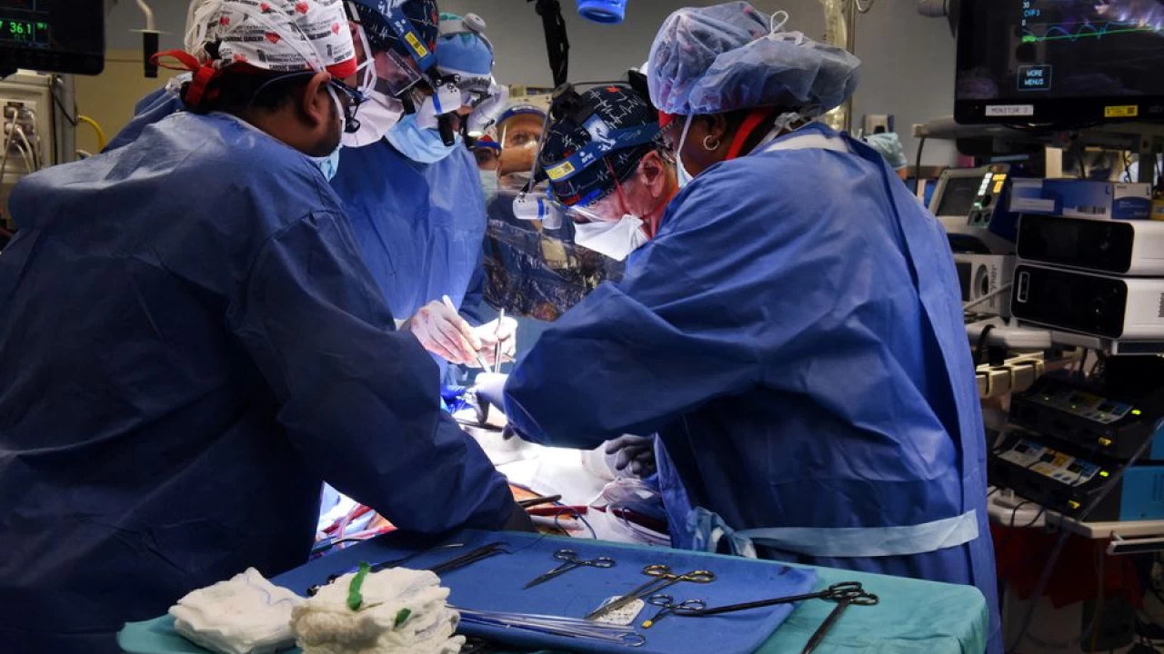 In a first, man gets genetically-altered pig heart in transplant   