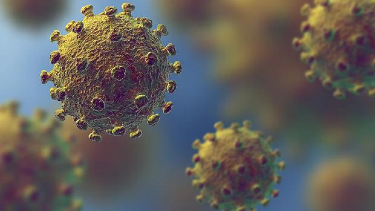 Coronavirus death toll crosses 25,000 mark in Pakistan