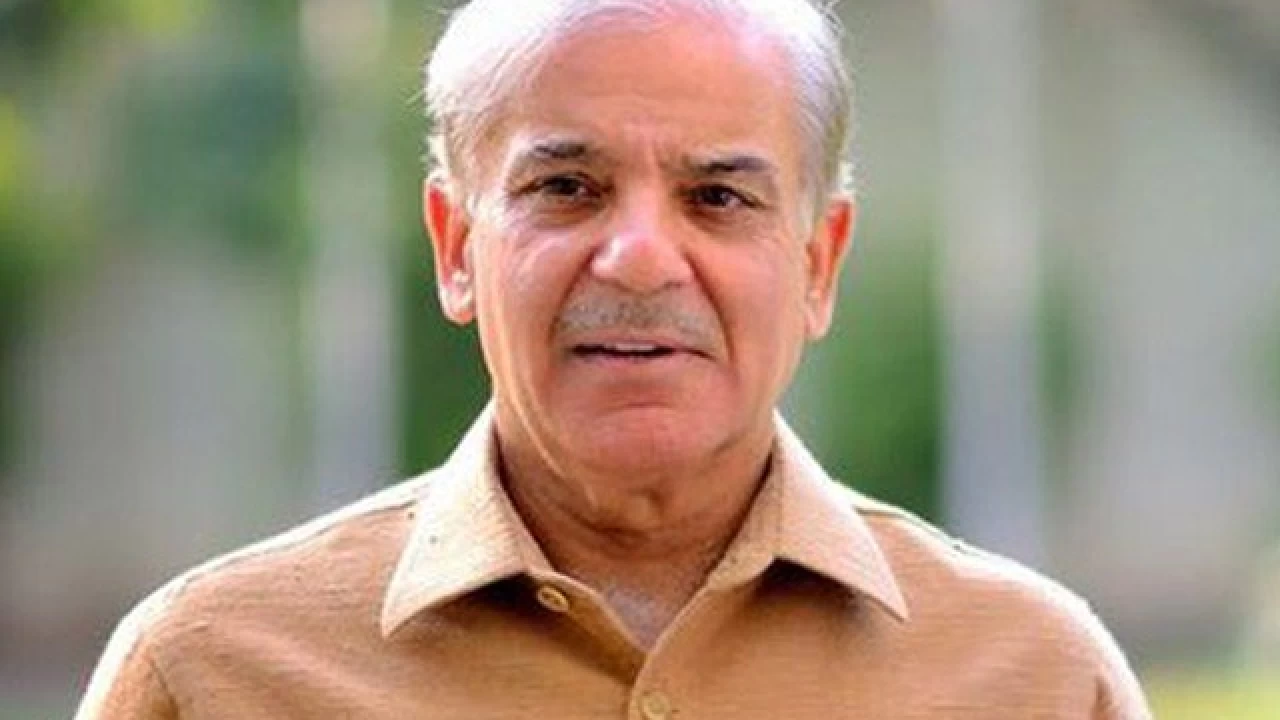 ‘Black day’ in Pakistan’s parliamentary history, says Shehbaz after NA passes Finance Bill