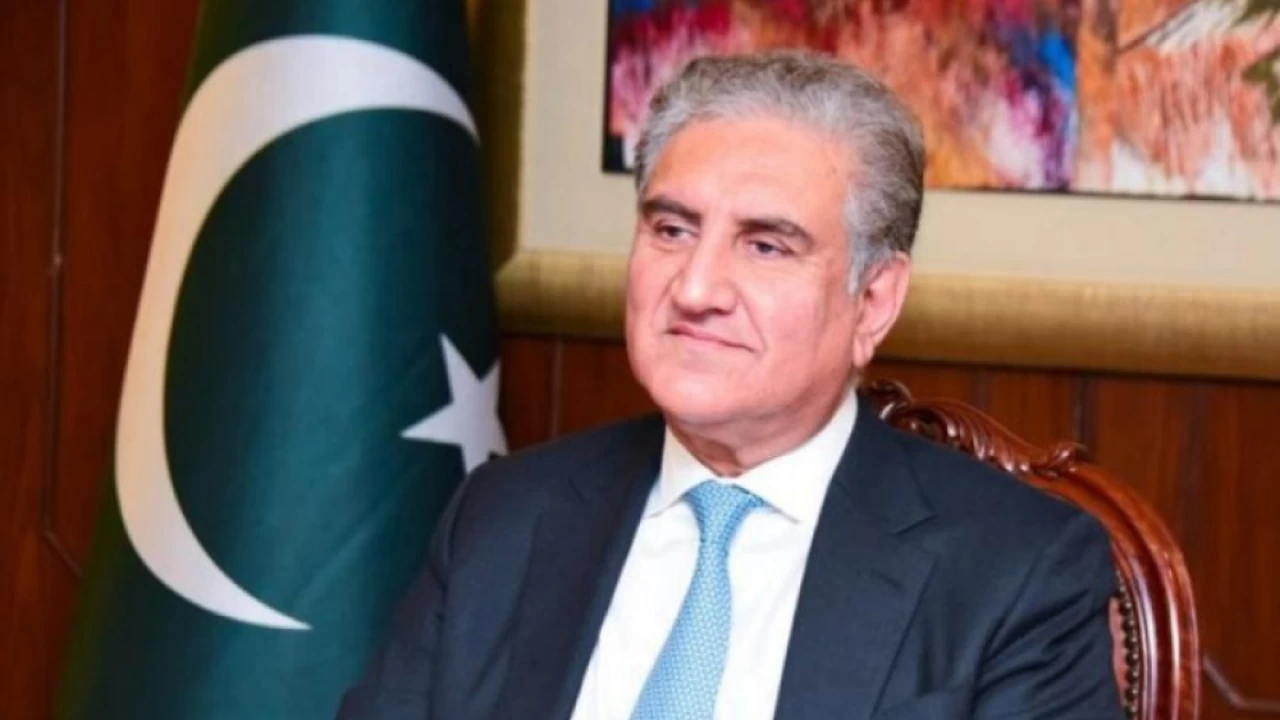 Govt to control Inflation before 2023: FM Qureshi