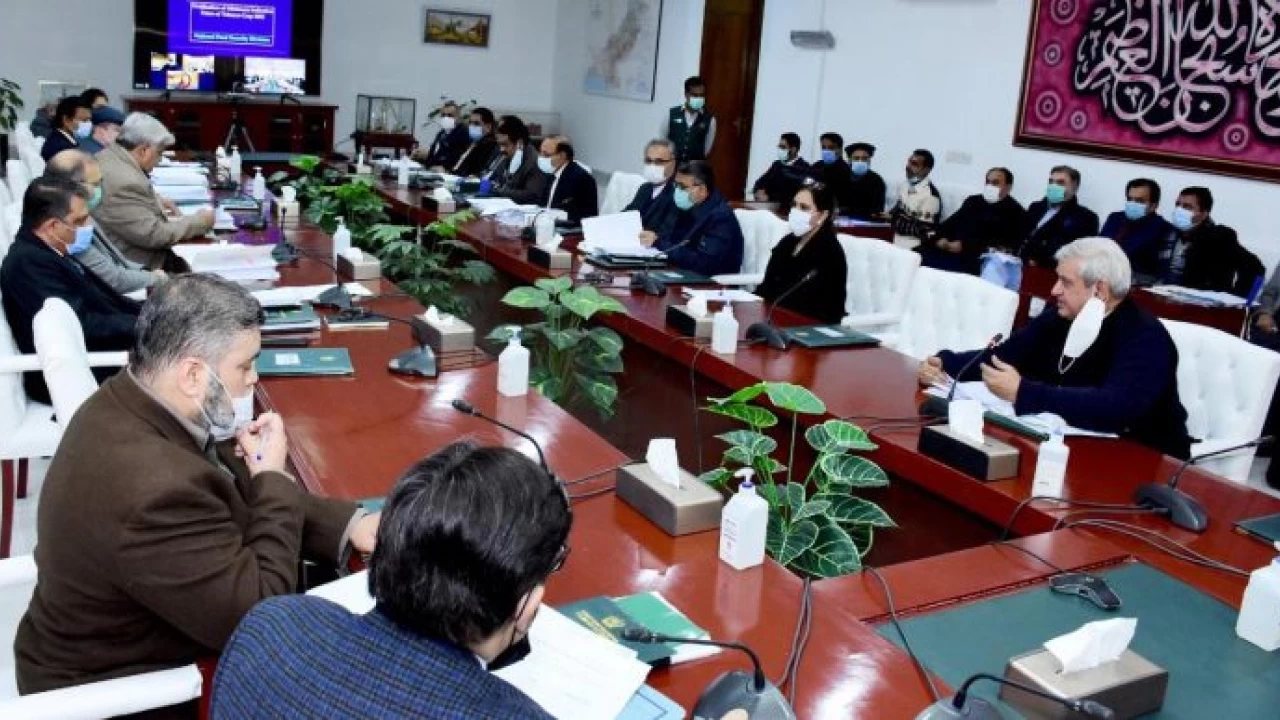 ECC approves selected commodities' export to Afghanistan in Pakistani currency