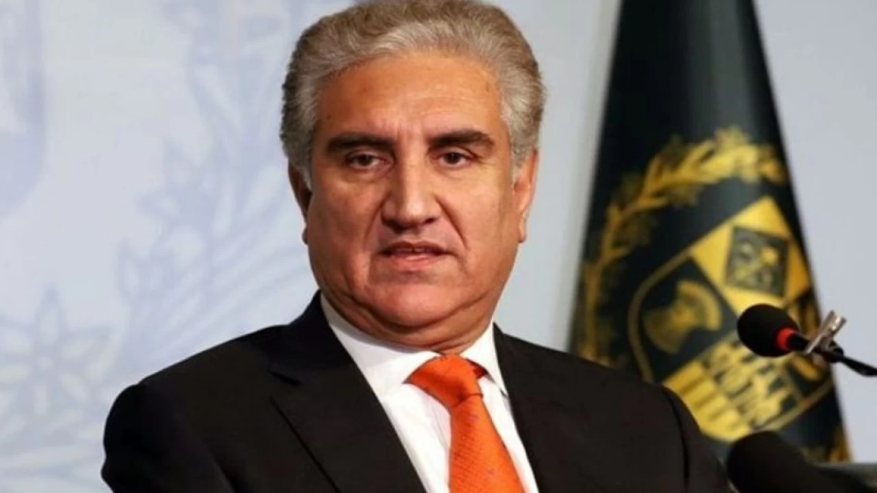 We lack two-thirds majority for making South Punjab a province: FM Shah Mahmood Qureshi 