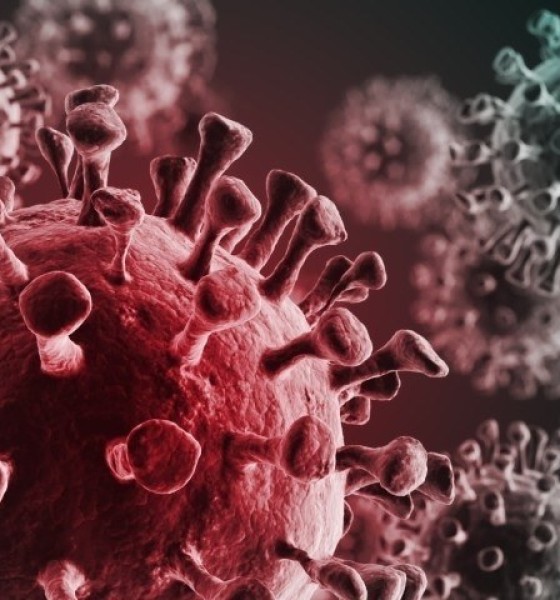 پاکستان میں کورونا وائرس  سے گزشتہ چوبیس گھنٹوں میں 20 افراد جاں بحق، 7 ہزار 586 نئے کیسز رپورٹ