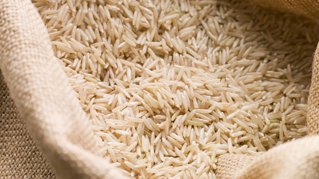 Pakistani rice exports surge 10.7pc to $1,066 million in 6MFY22
