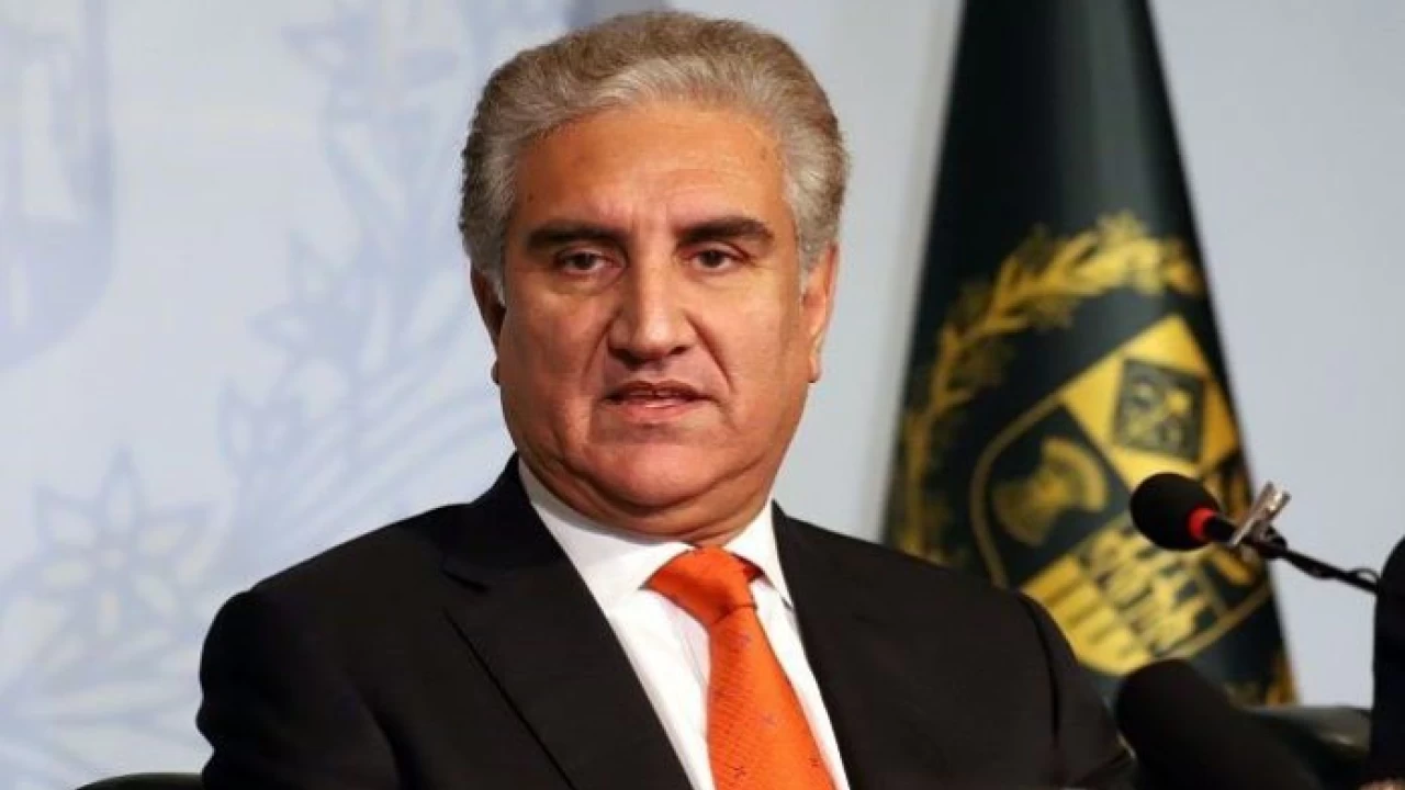 Economic stability crucial to achieve foreign policy goals: FM Shah Mahmood Qureshi