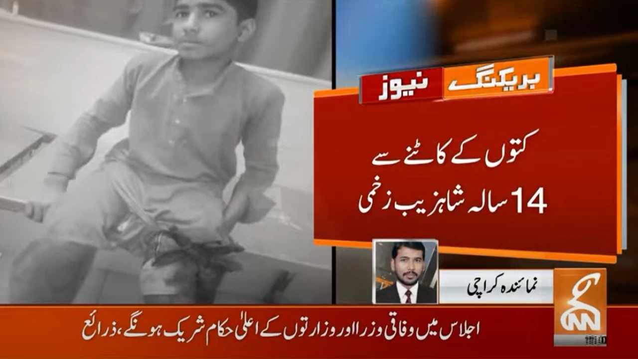 Stray dogs bite and injure 14-year-old boy in Karachi