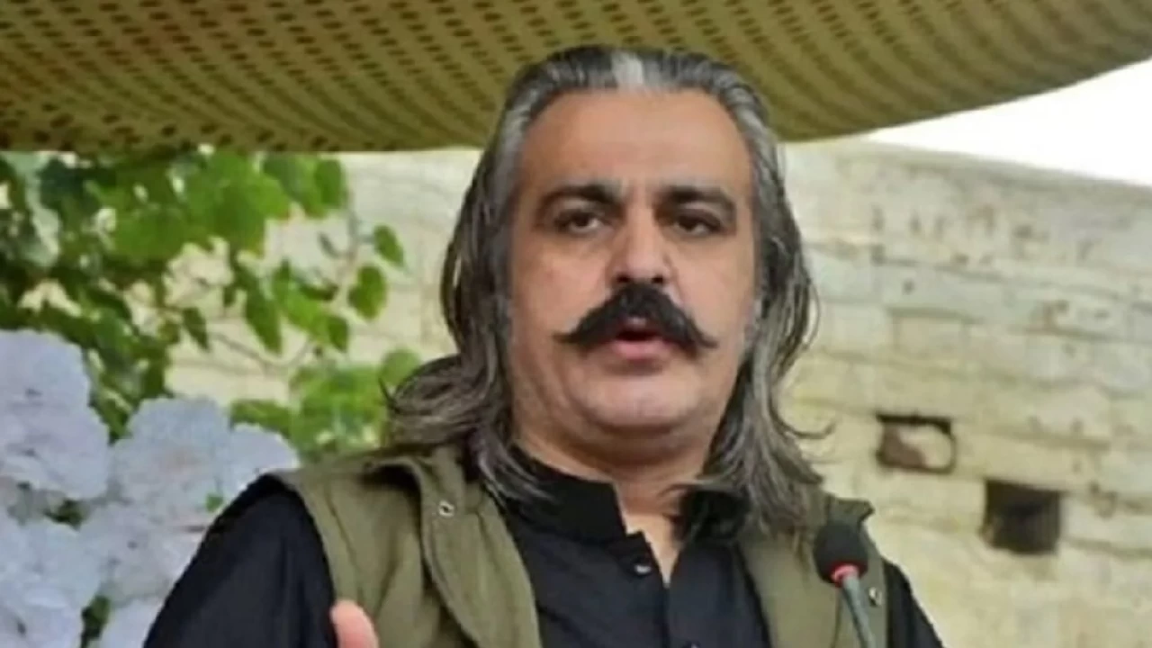 Election Commission bans Ali Amin Gandapur from holding election campaign, brother declared ineligible