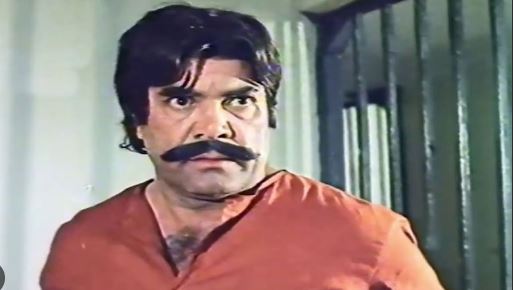 Iconic Sultan Rahi's death anniversary observed today