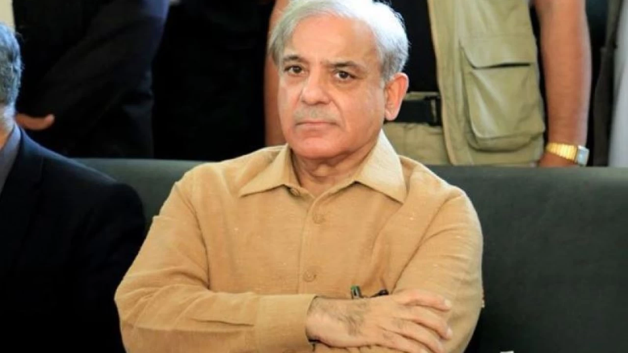 Shehbaz asks PM Imran to worry about worsening economy, not Opposition's meetings