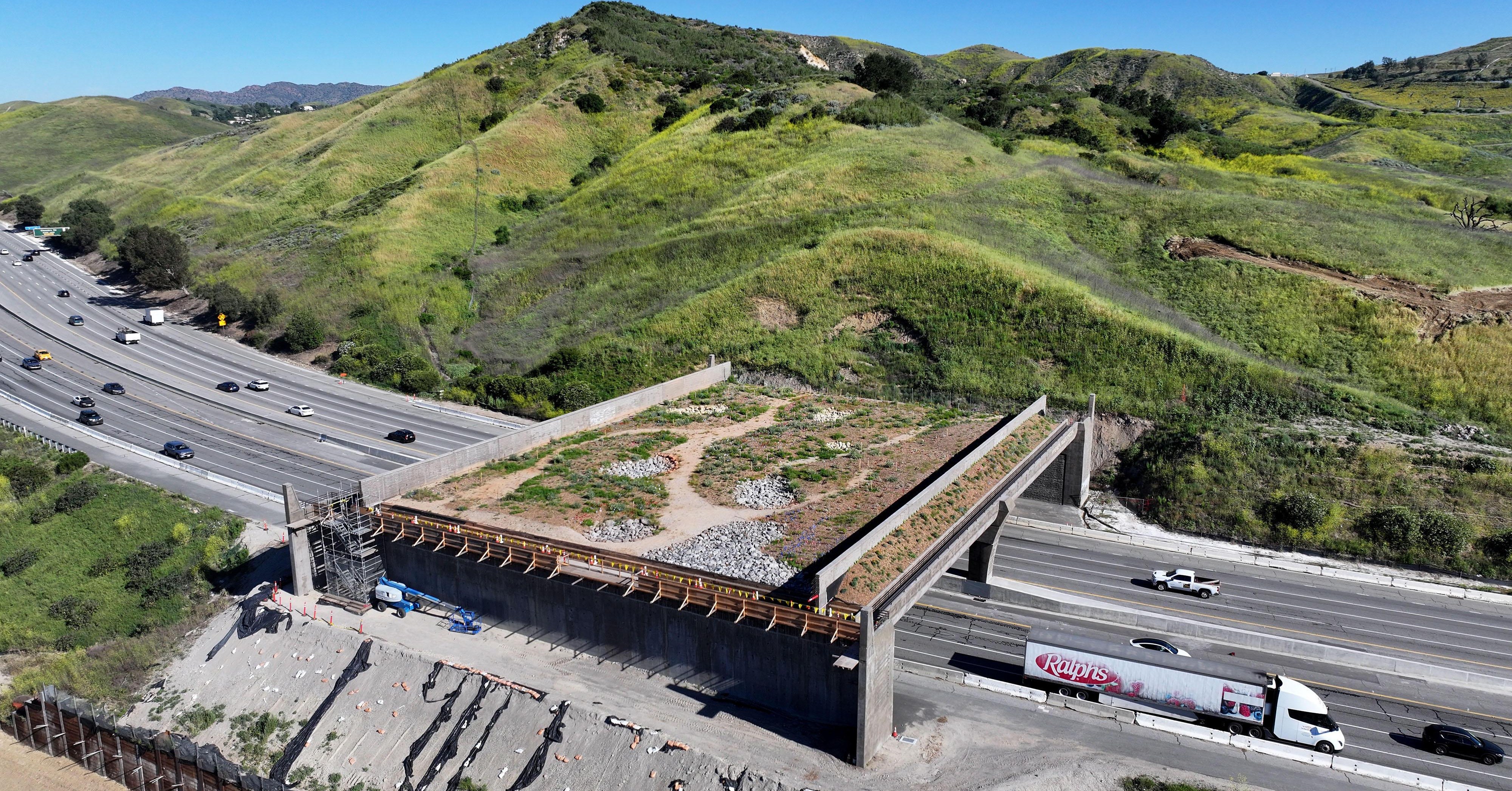An elegant fix for one of America’s deadliest road problems