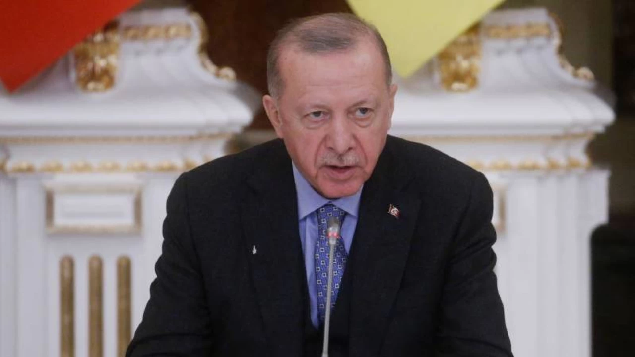 Erdogan says won't accept moves on Ukraine's sovereignty