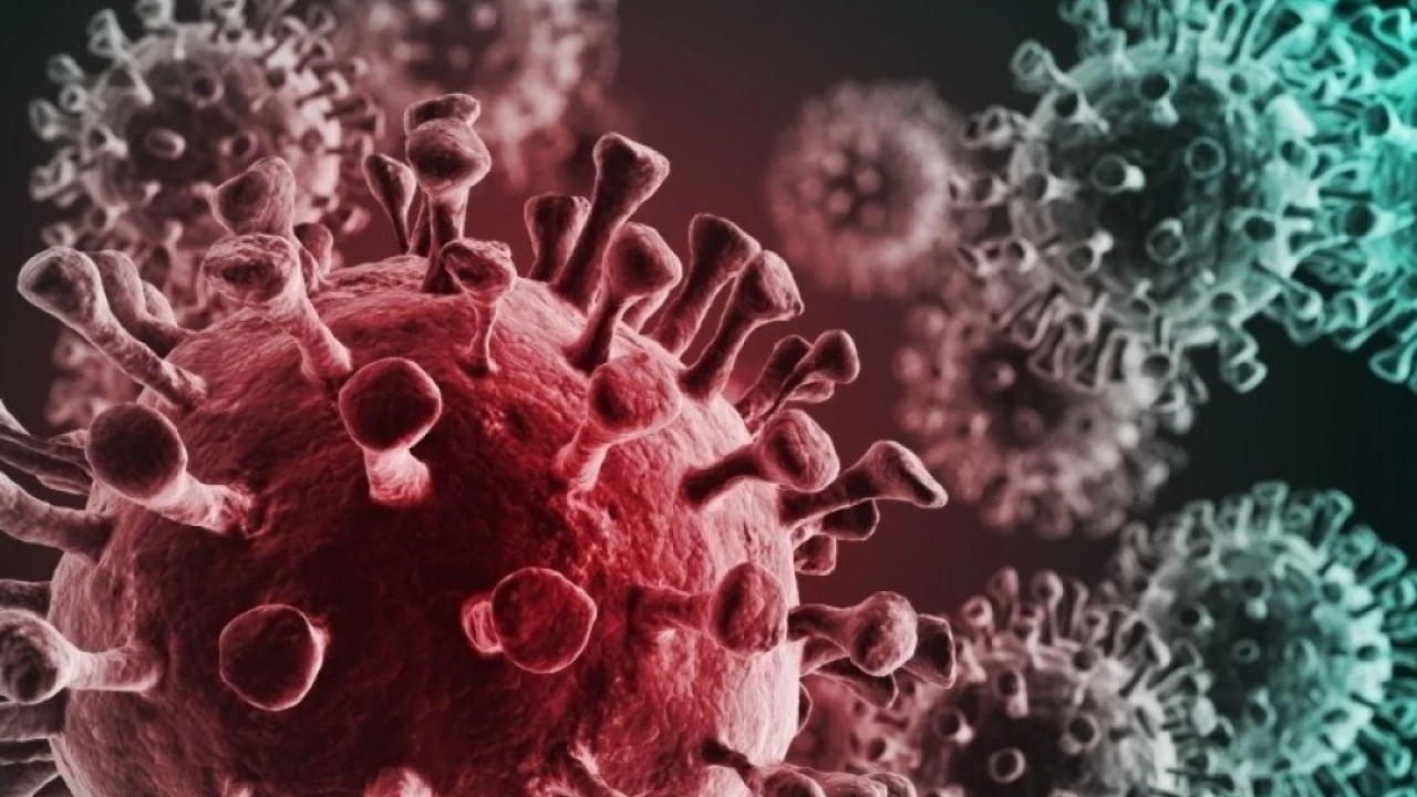 Pakistan reports 1,207 coronavirus cases, 14 deaths