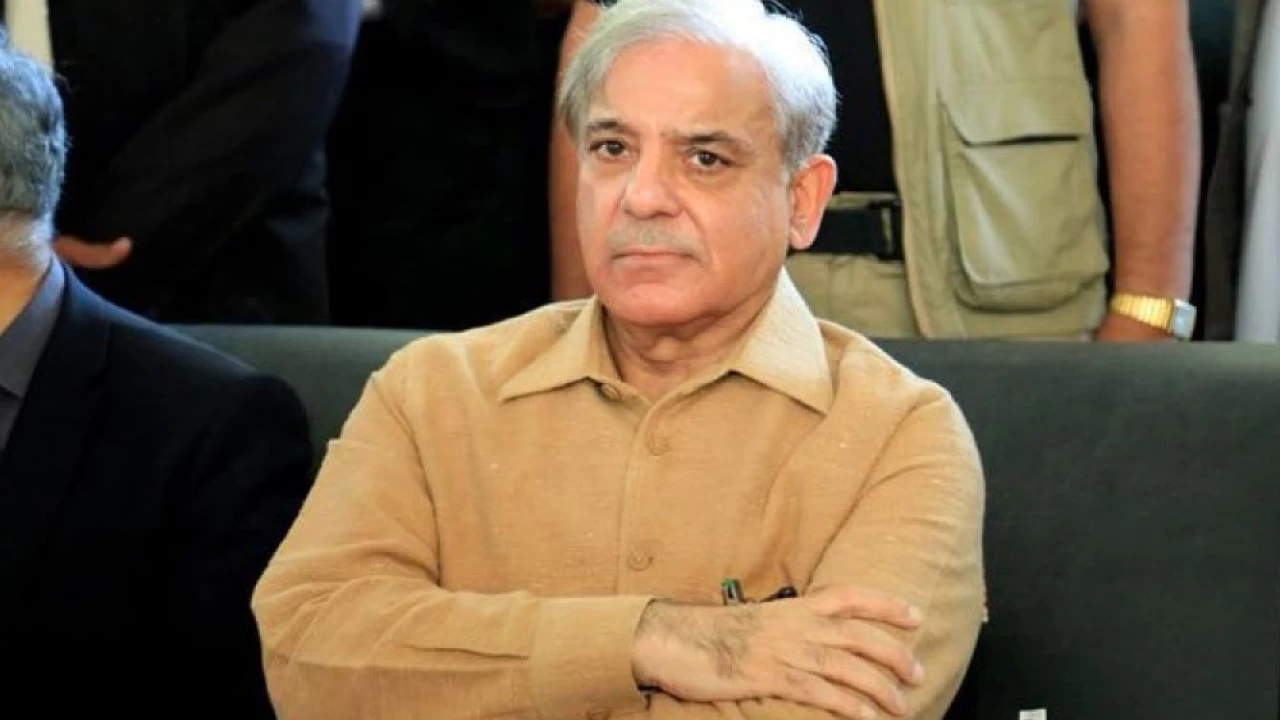 Shahbaz expresses annoyance over PM's 'foul language'