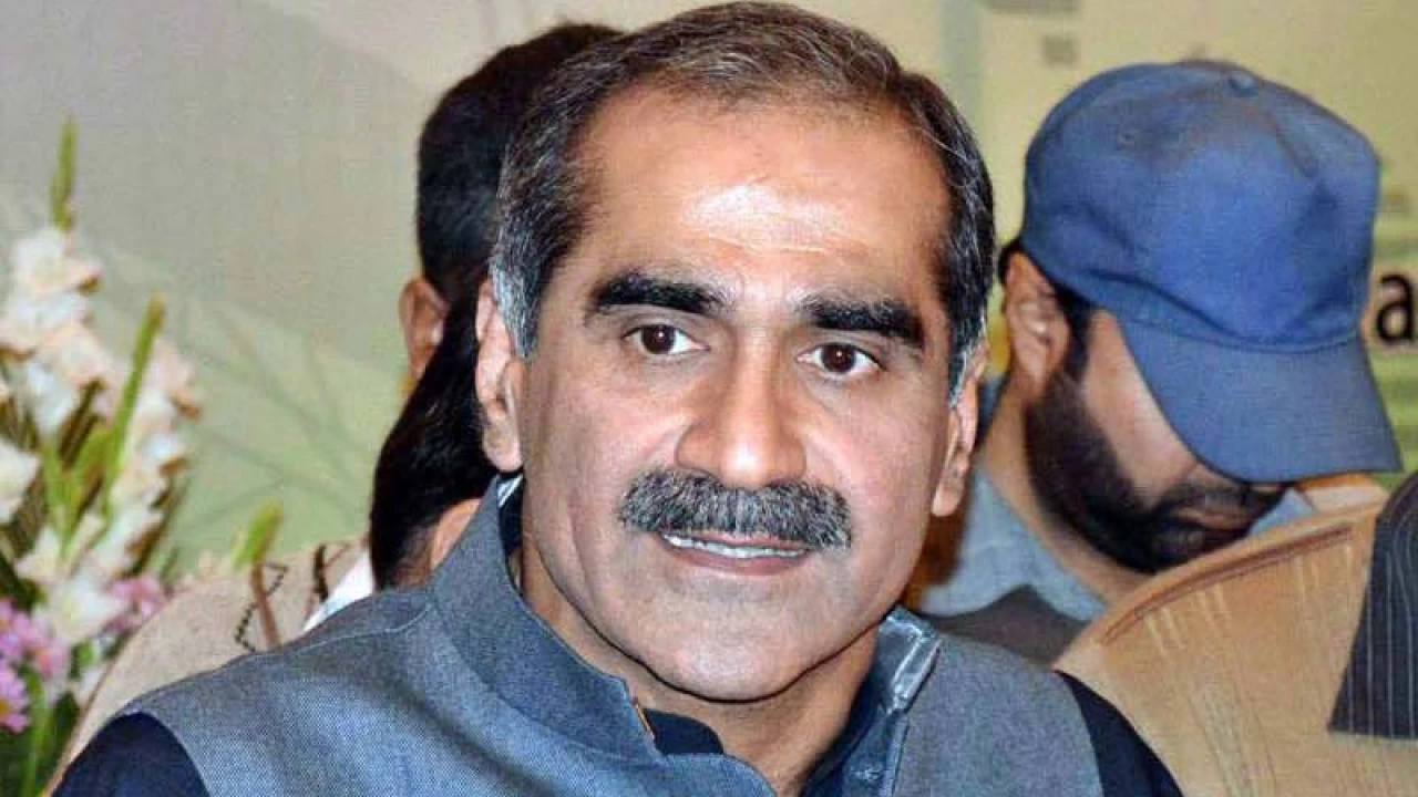 Imran Khan will have to go: Saad Rafique 