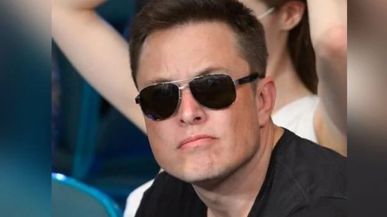 Elon Musk changes Twitter name to ‘Elona’
