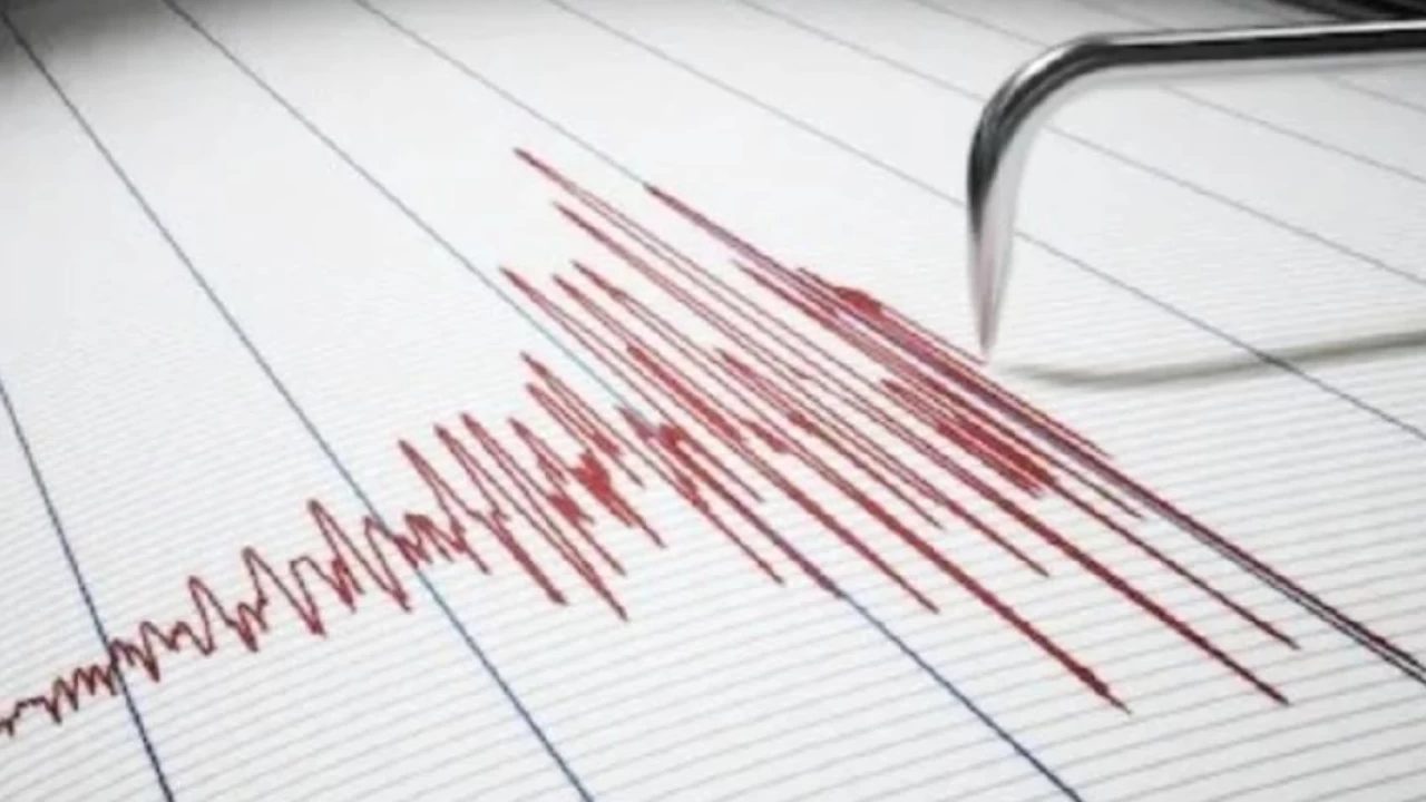 7.3 magnitude earthquake jolts north Japan, triggers tsunami alert
