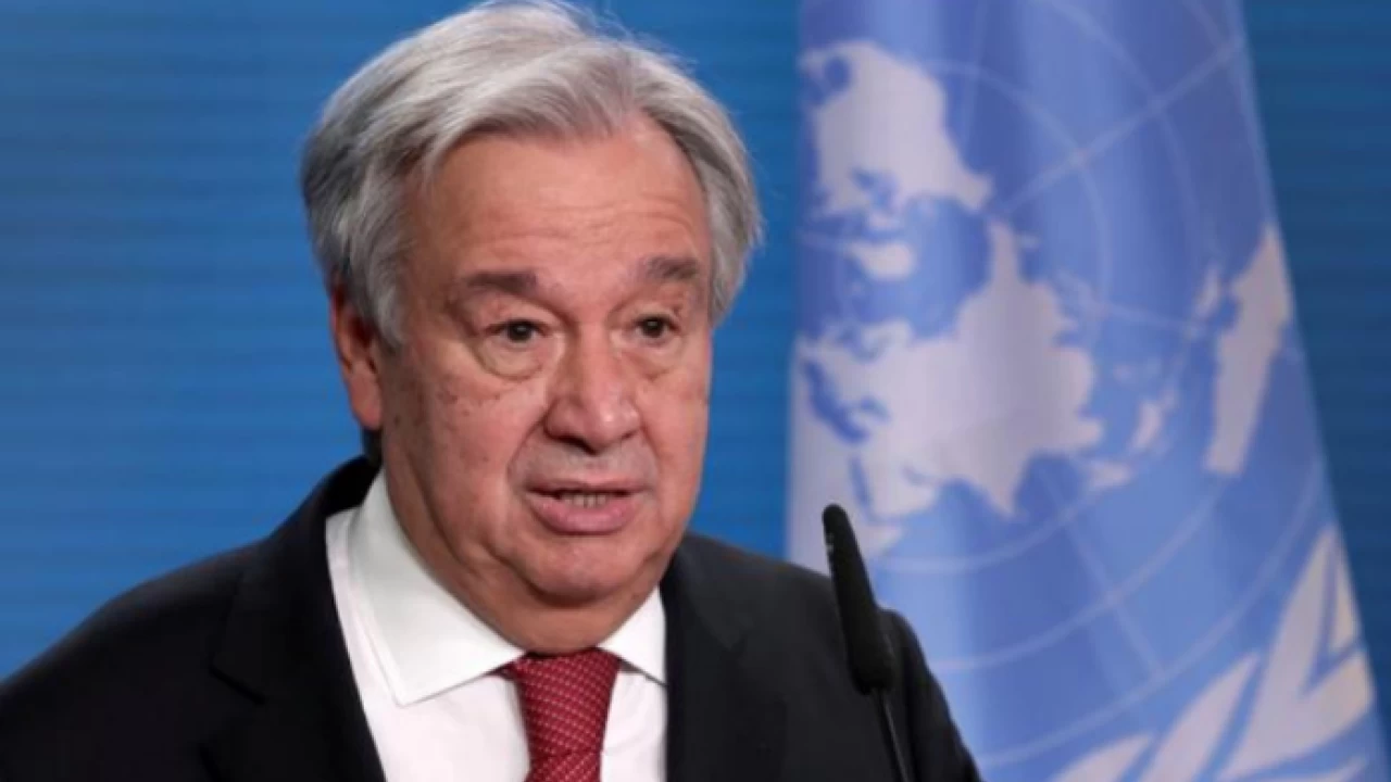 UN chief calls for ‘tangible and credible’ forest management