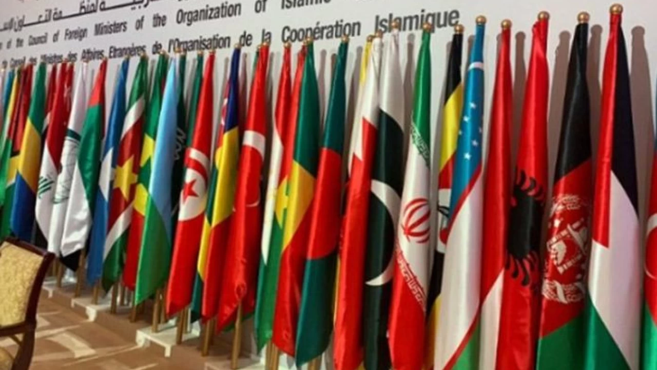 FMs, delegates arrive in Islamabad to attend session of OIC-CFM