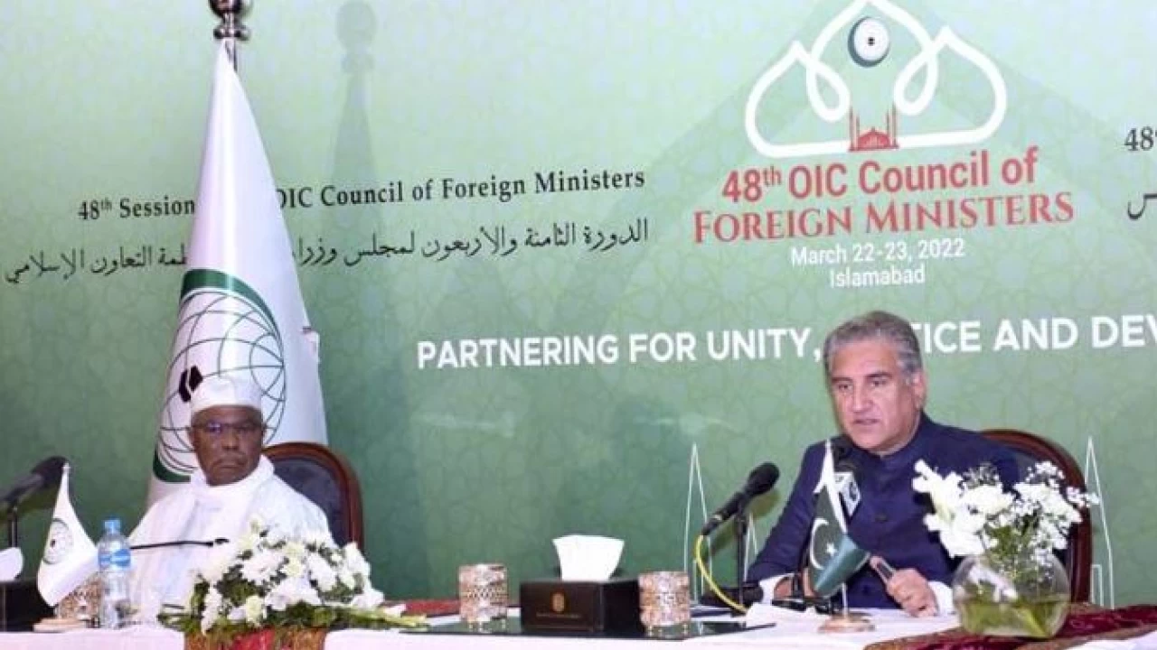 FM Qureshi says Pakistan, Africa to cooperate in diverse fields