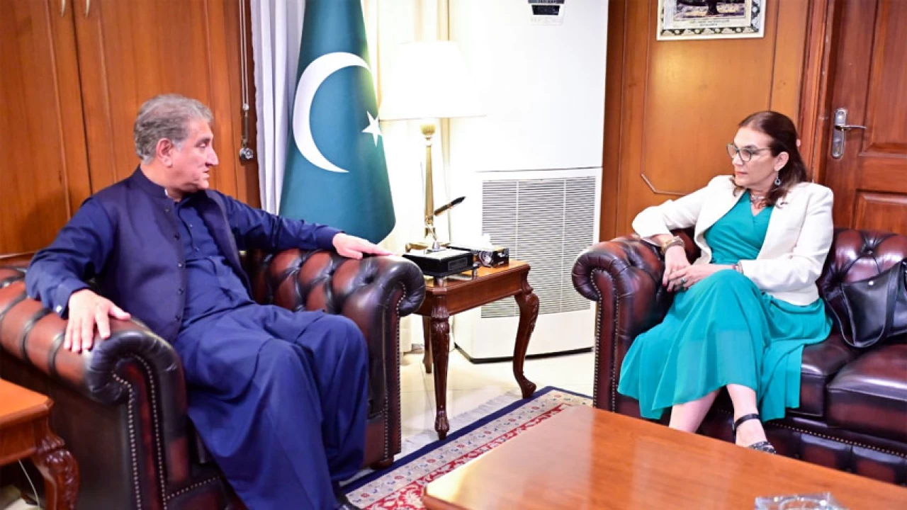 FM Qureshi, EU ambassador discuss bilateral relations