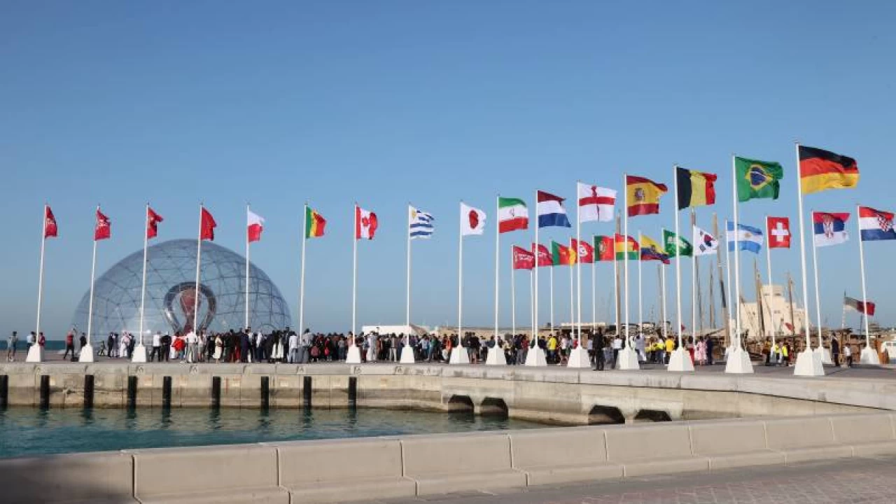 World Cup flags spark noisy celebrations as FIFA announces ticket bonanza