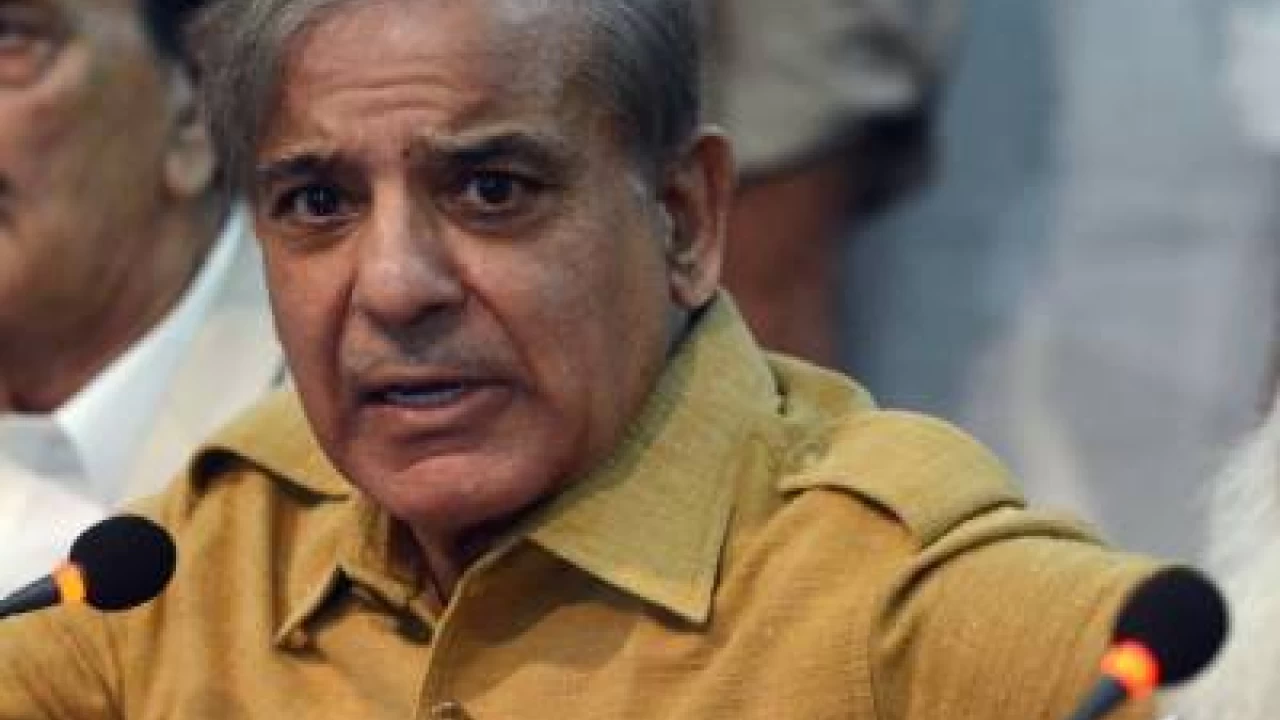 Article-6 to be applied on PM, Speaker: Shahbaz