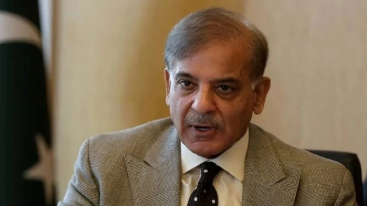 Imran Niazi will be responsible if country goes bankrupt: Shehbaz Sharif 