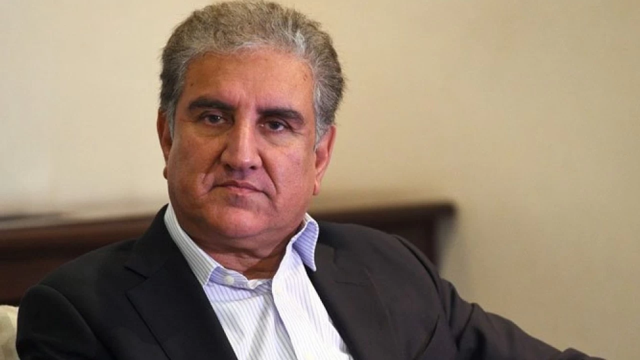 Constitution protects the ruling of the Speaker in the National Assembly: Shah Mahmood Qureshi