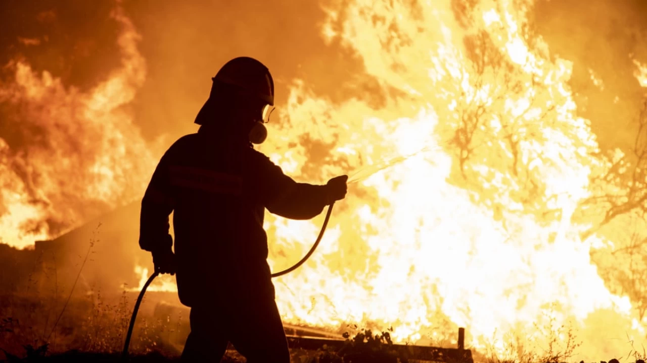 Thousands flee as wildfires devastate Greece and Turkey; firefighter loses life