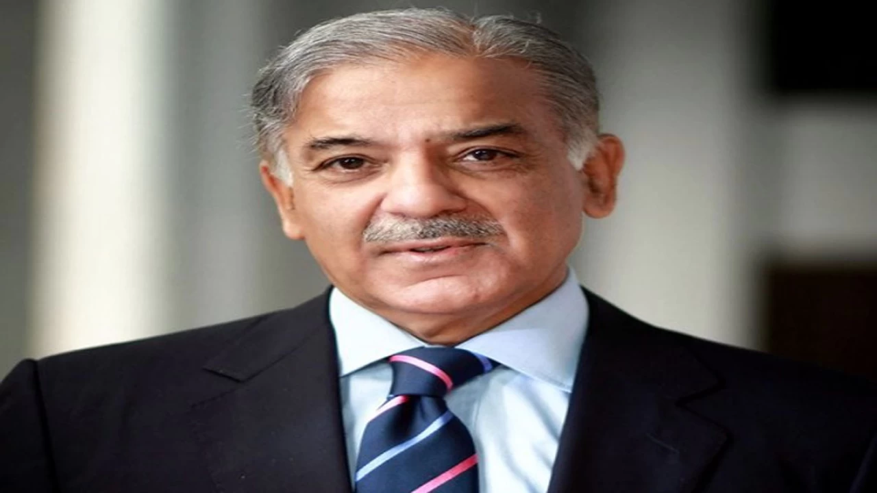 Govt fixing load-shedding issue: PM Shehbaz