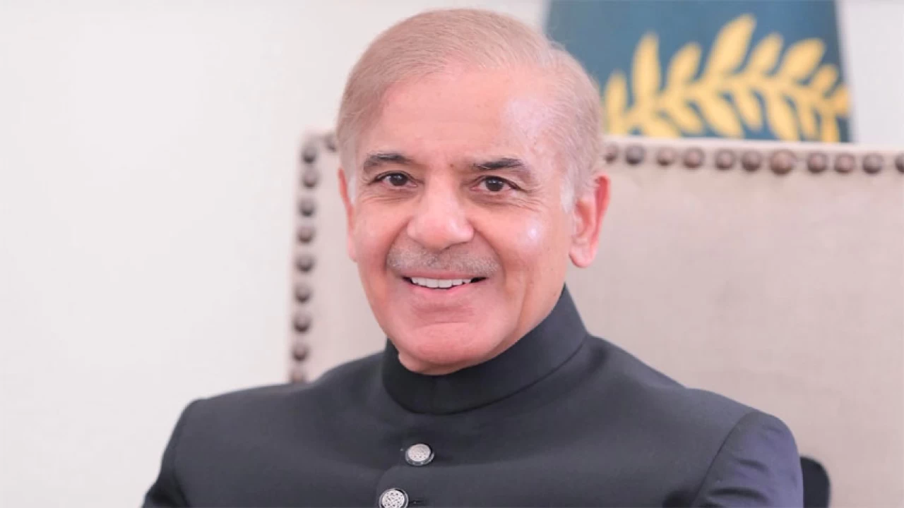 Govt committed to freedom of press, speech: PM Shehbaz Sharif