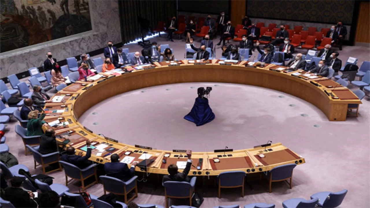 Unanimous UN Security Council declaration backs 'peaceful' Ukraine solution