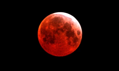 Lunar eclipse: World sights 2022's first super flower ‘blood moon’