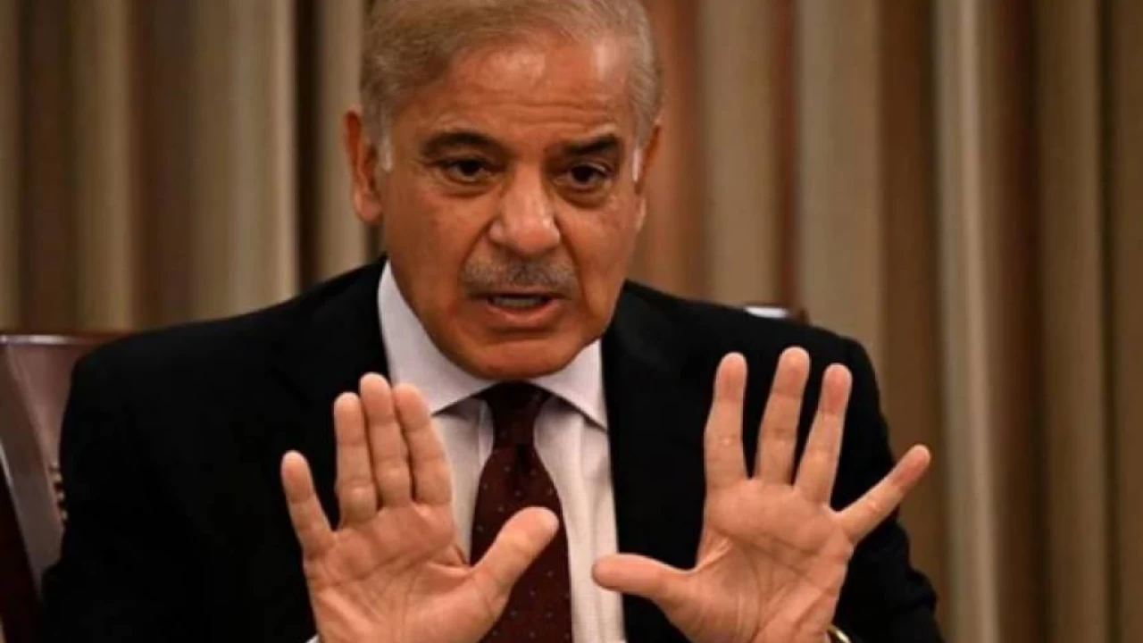 PM Shahbaz bans import of luxury, unnecessary items 