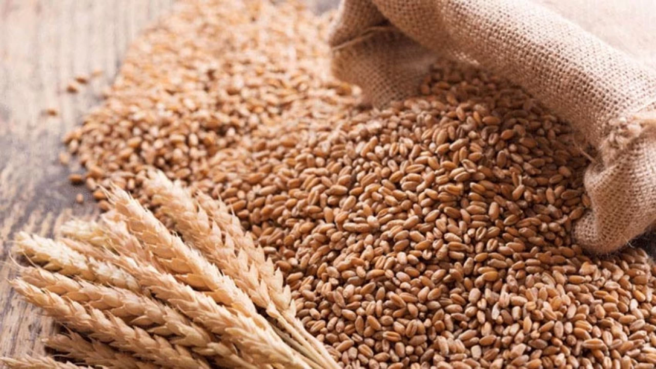 Sindh launches operation against wheat hoarding 