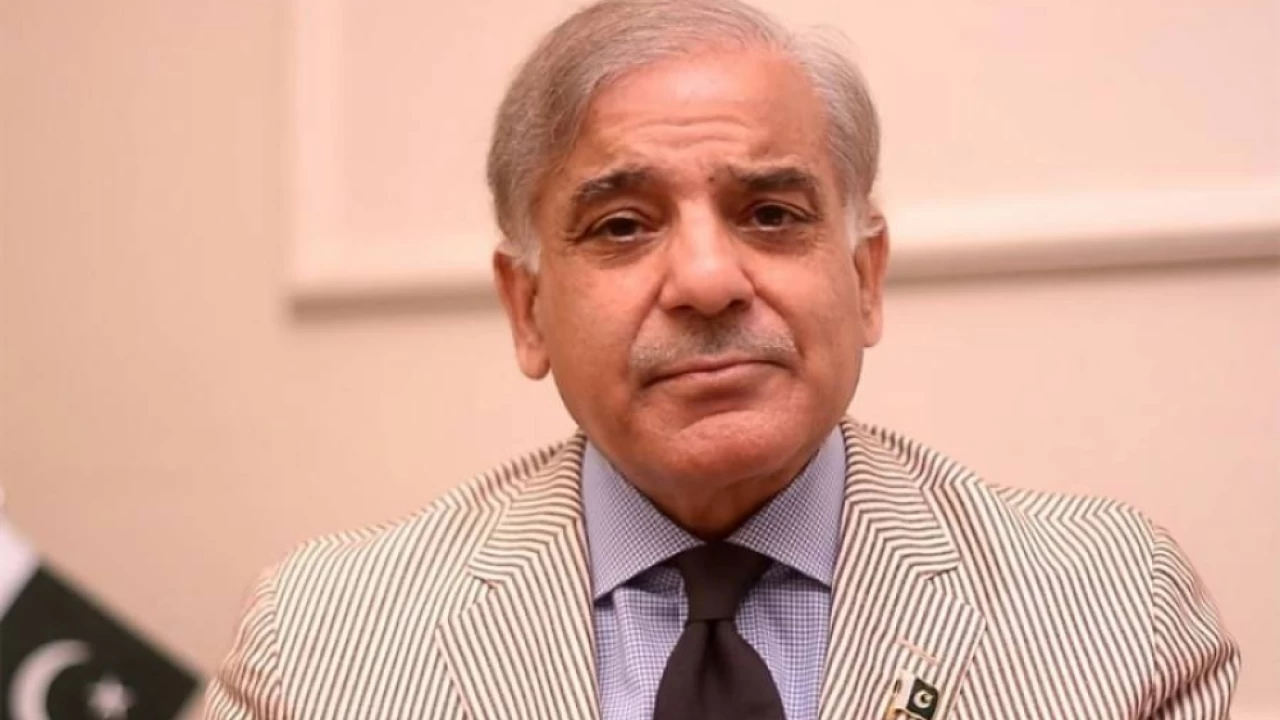 Money-laundering case: Interim bail of PM Shehbaz, CM Hamza extended till May 28
