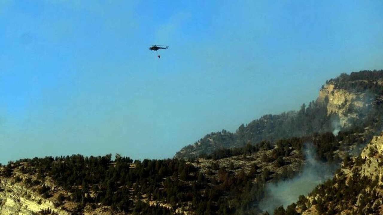بلوچستان :شیرانی کے جنگلات میں لگی آگ پر قابو پالیا گیا