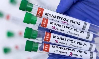 Pharmaceutical giant Roche develops monkeypox PCR tests