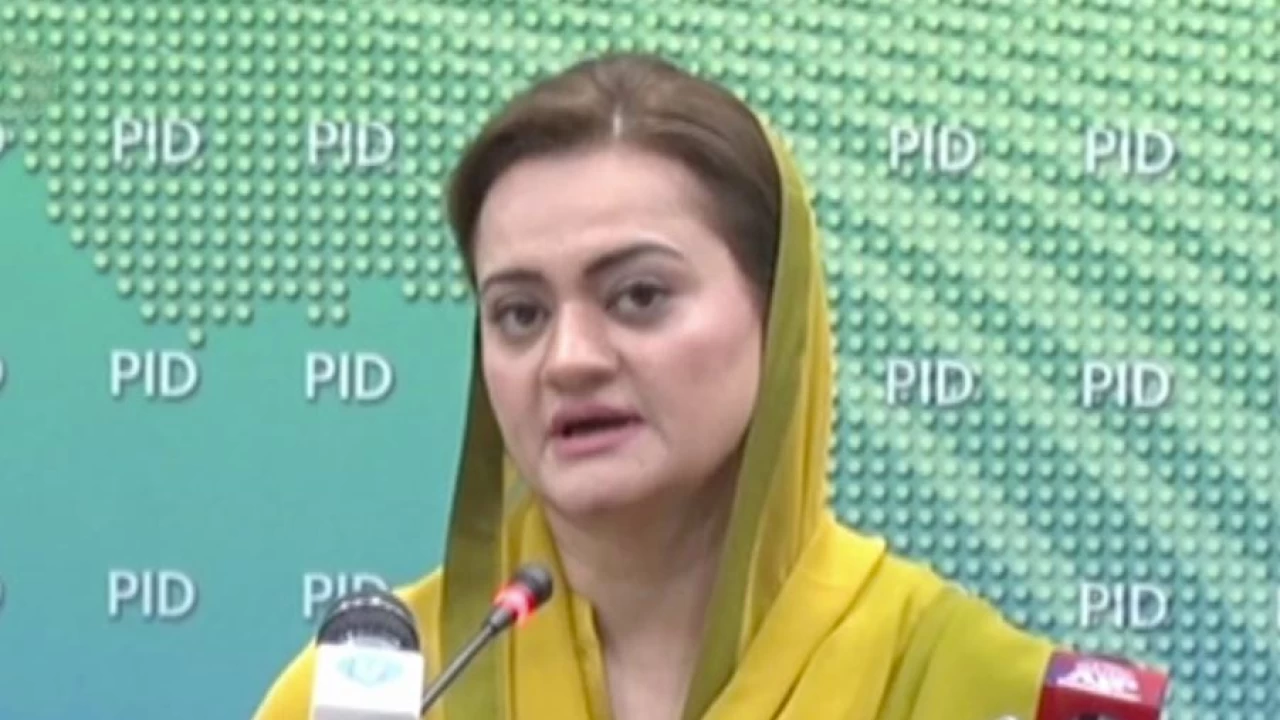 PTV anchor who visited Israel along with delegation sacked: Marriyum
