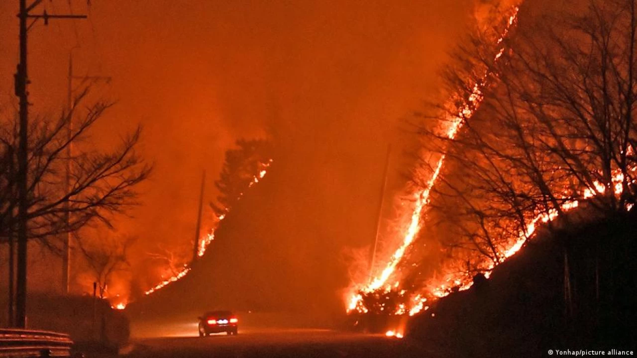 Wildfire continues for third day in southeastern S. Korea